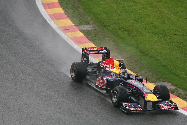Formula 1 Race